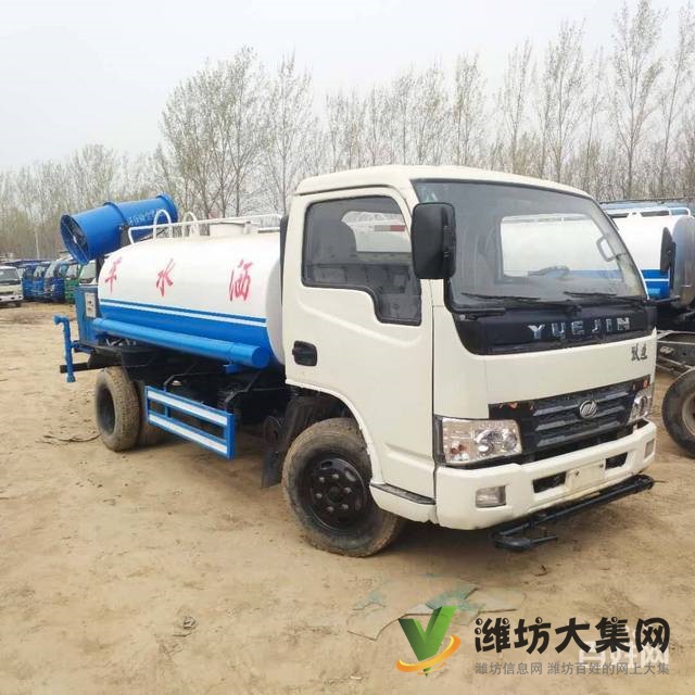 廠家直銷10方躍進灑水車 可定制   灑水前噴后灑