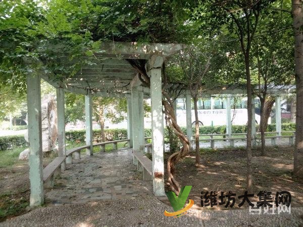 花園式單位房 120平3室2廳 三明廳北55萬