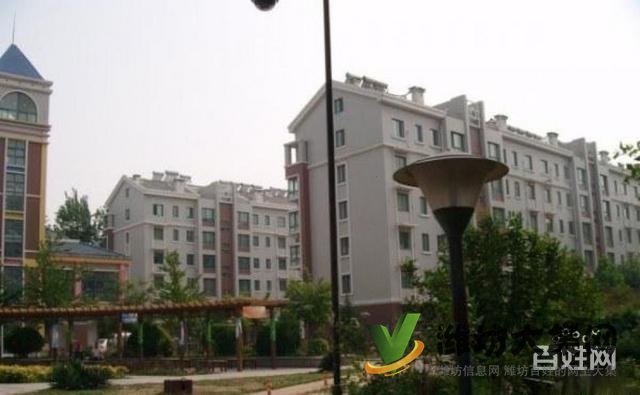 萬達對面中央麗景多層二樓精裝修無稅