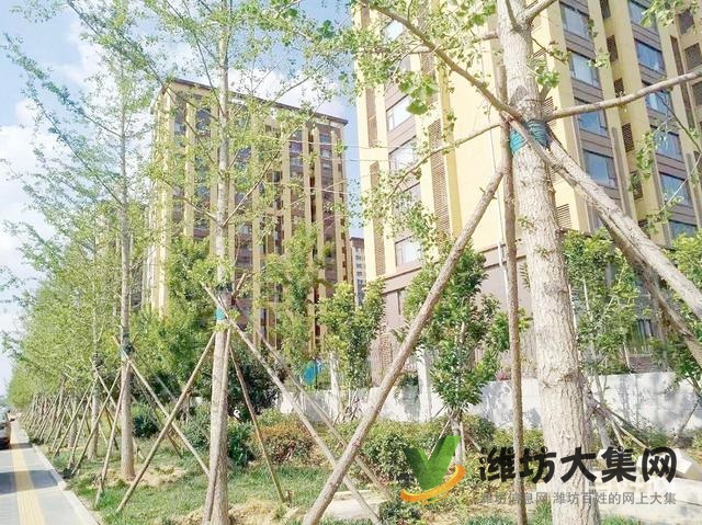 整租 |火車站南廣場(chǎng) 榮軍花園 多層2樓三室廳雙氣供暖130