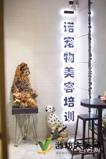 濰坊寵物美容培訓中心怎么選|一諾寵物美容師培訓
