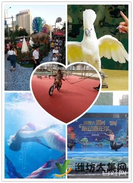 諸城市萌寵動(dòng)物展 海洋魚缸展租賃