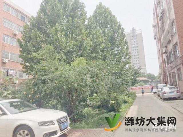 勝利街新華路 家樂苑 多層2樓 精裝兩室朝陽 隨時