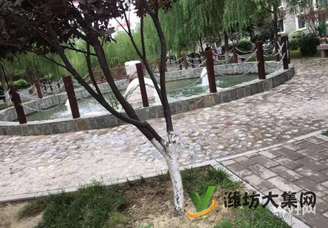 恒信無虛假高新北文昌近 低首付北美楓情101平3室