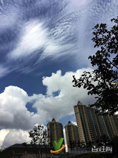 安全交易 獨(dú)代理 恒大名都精裝H戶型3室2衛(wèi) 出稅頂急新惠