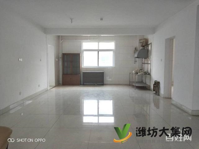 稀缺資源 劍橋周邊 大五室 任意裝修 大H