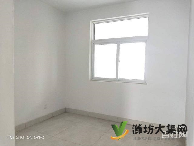 稀缺資源 劍橋周邊 大五室 任意裝修 大H