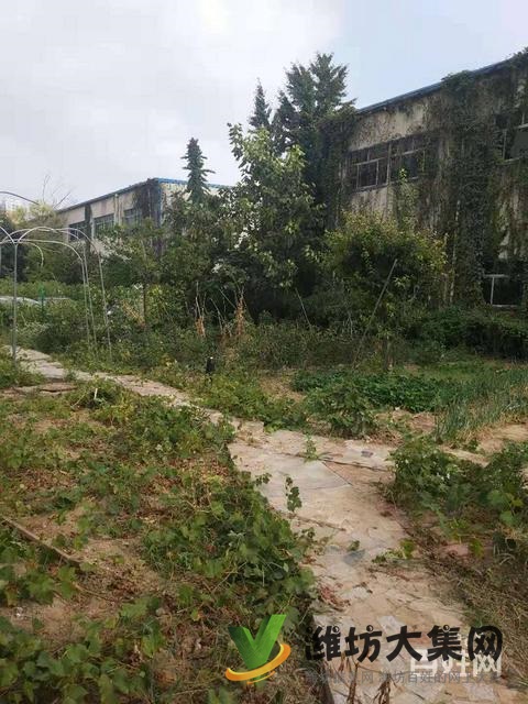 (快租無(wú)中介費(fèi))高新區(qū)臥龍街東方路寫(xiě)字樓出租