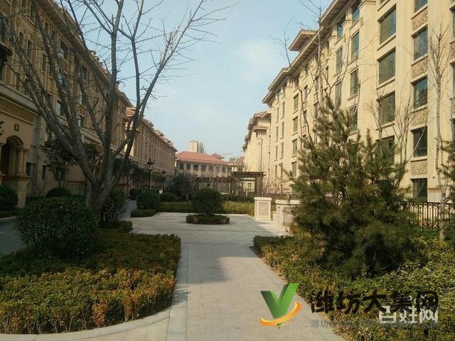 青云國(guó)際城，3室2廳2衛(wèi)大H戶型，房主急售急售