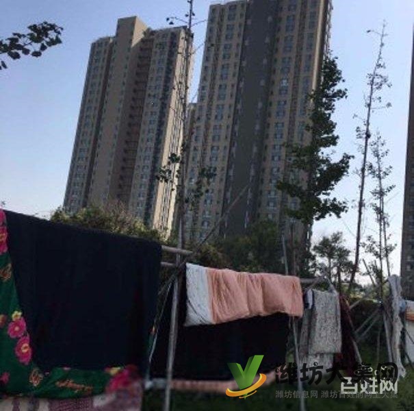 買奧體近大三室，超底價格，視野 開闊，全天采光南北通透