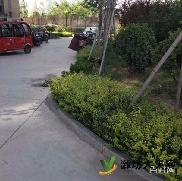 買奧體近大三室，超底價格，視野 開闊，全天采光南北通透