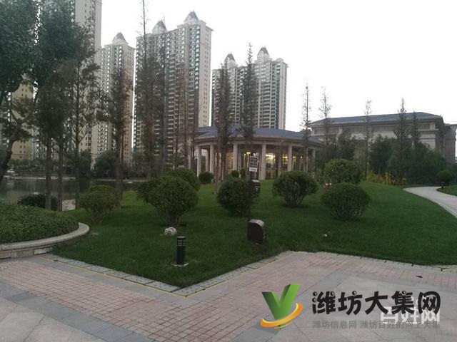 恒大名都  精裝未住   113平僅售95萬