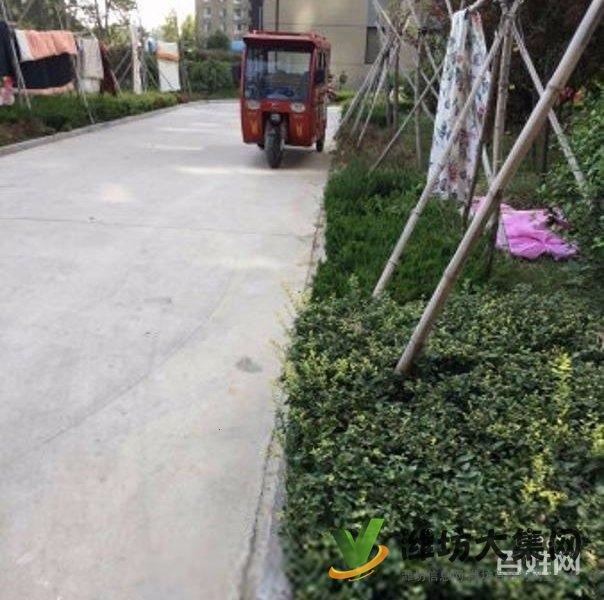 買奧體近大三室，超底價格，視野 開闊，全天采光南北通透