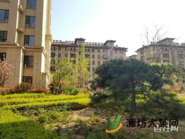 7000多點 現(xiàn)房 多層電梯洋房 標(biāo)三 濰城核心地