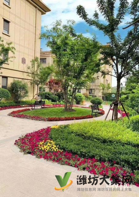 搶 超低 價(jià)2999元平住泰華旁花園洋房 僅29