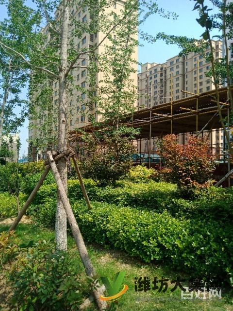 145平大H四室兩衛(wèi)僅售4880元每平