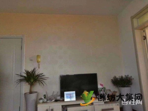 蝶園廣場(chǎng)近河西人民 精裝兩室 首付8萬全部辦完 有