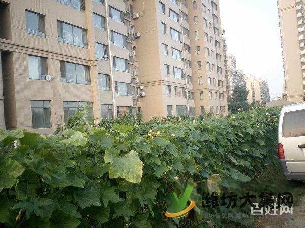 新市府南鄰紫瑞園3室2廳全明戶型房主外地發(fā)展急售