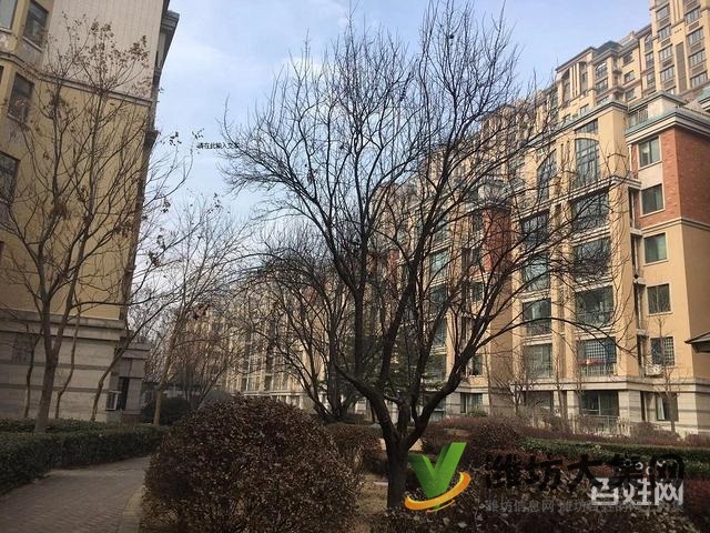 魯發(fā)名城,3居室2廳,精裝修短住保養(yǎng)好,真實(shí)圖片和