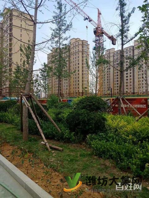 濰城區(qū)政府近 三室好房源 4680每平 不分樓層