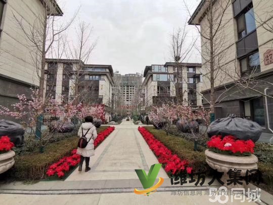 楓丹壹號(hào)院3室2廳2衛(wèi)H戶(hù)型二梯二戶(hù)