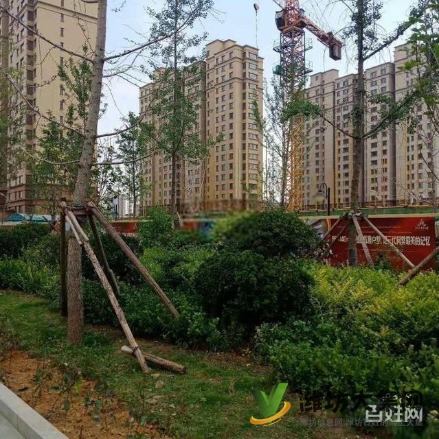 濰城區(qū)政府近 凡爾賽麗都 團(tuán)購4680每平3室大H