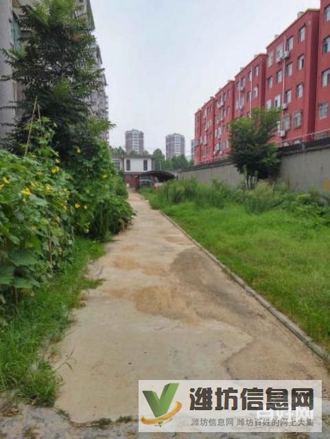 五中近白浪河畔 首付15萬金景苑多層三樓 送地下室無稅