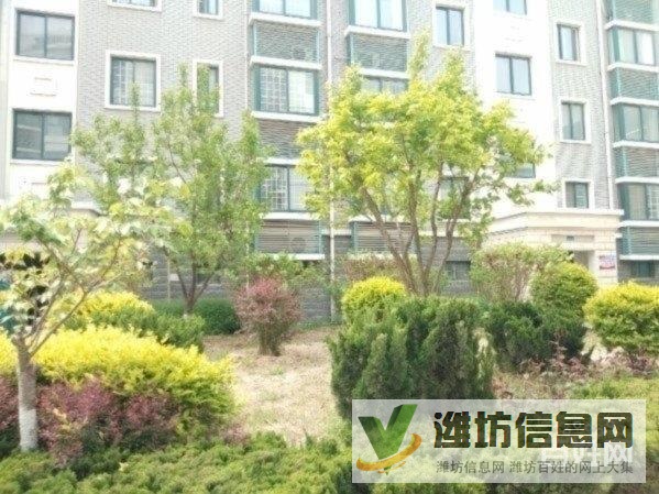 濰縣中路近的高端小區(qū) 12樓東山 全明戶型 精裝三室 南