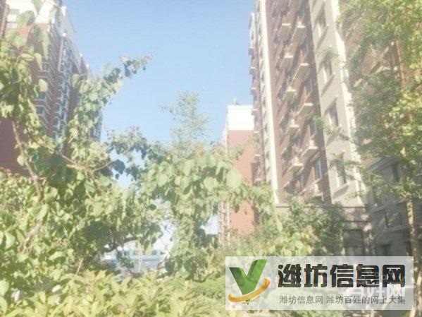 濰縣中路近的高端小區(qū) 12樓東山 全明戶型 精裝三室 南