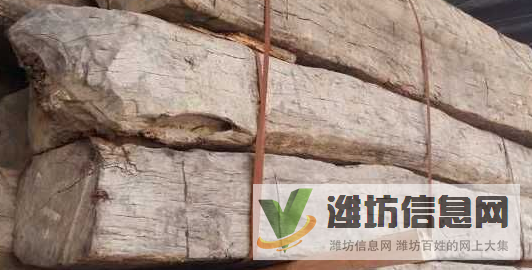 濰坊進(jìn)口原木及木材清關(guān)報(bào)關(guān)