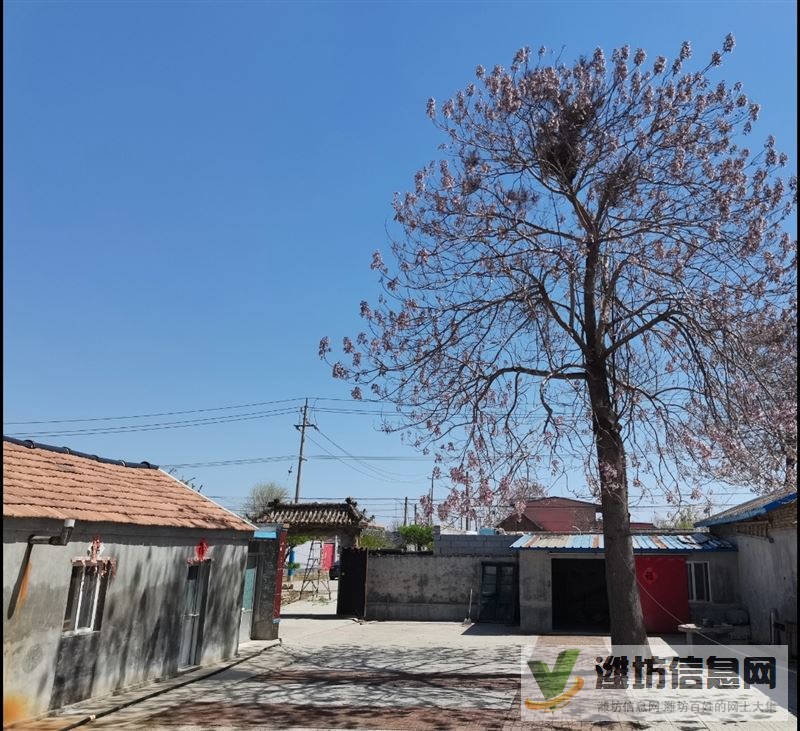 出租果院及小院1個